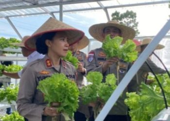 Polres Bintan Menggelar Panen Sayur Hidroponik 