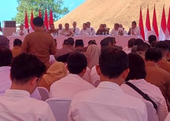 Program Satgas Peningkatan Penerimaan Devisa Negara Yang di Bentuk Berdasarkan SK Presiden NO 151 Tahun 2024