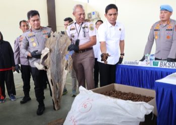 Polda Kepri: Berhasil Gagalkan Penyeludupan Hasil Laut, Satwa di Lindungi Dan Penyalahgunaan Migas