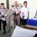 Polda Kepri: Berhasil Gagalkan Penyeludupan Hasil Laut, Satwa di Lindungi Dan Penyalahgunaan Migas