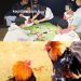 Judi Sabung Ayam-Dadu Semakin Merajalela di KM 13 Arah Kijang, Warga Resah Takut Rusak Akhlak Anak Muda