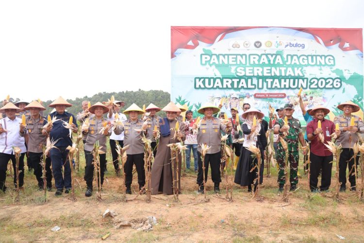 Polda Kepri: Gelar Panen Raya Jagung Serentak Kuartal I, Wujud Dukungan Nyata Swasembada Pangan Nasional 2026