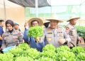 Polda Kepri: Panen Perdana Hidroponik Dukung Ketahanan Pangan
